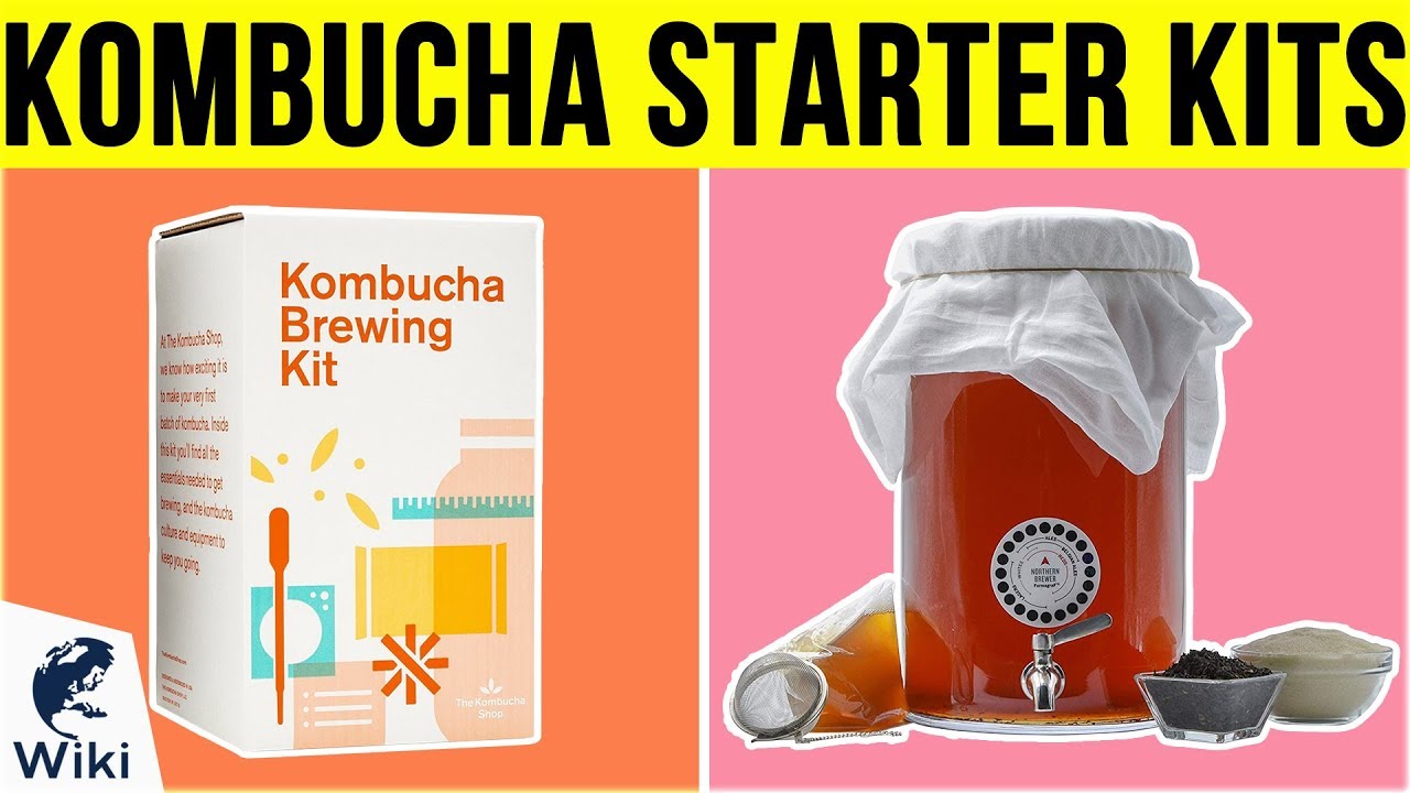 10 Best Kombucha Starter Kits 2019