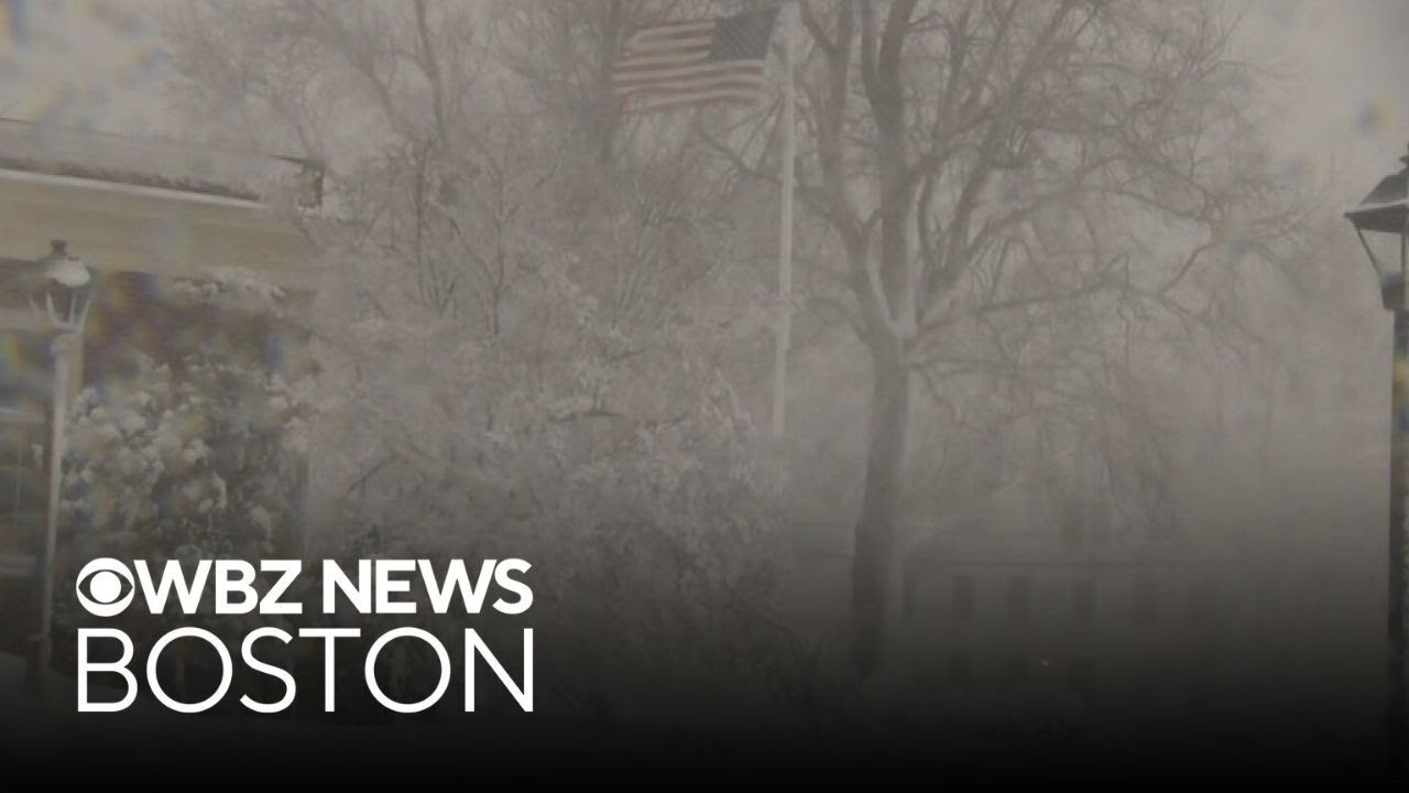 Man out for walk during Massachusetts nor'easter says you 