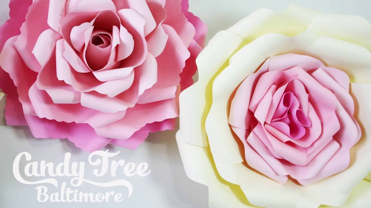 DIY Paper rose backdrop tutorial   Lesson 2
