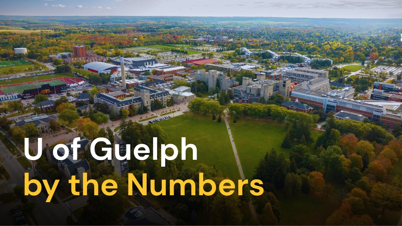 #UofG by the Numbers