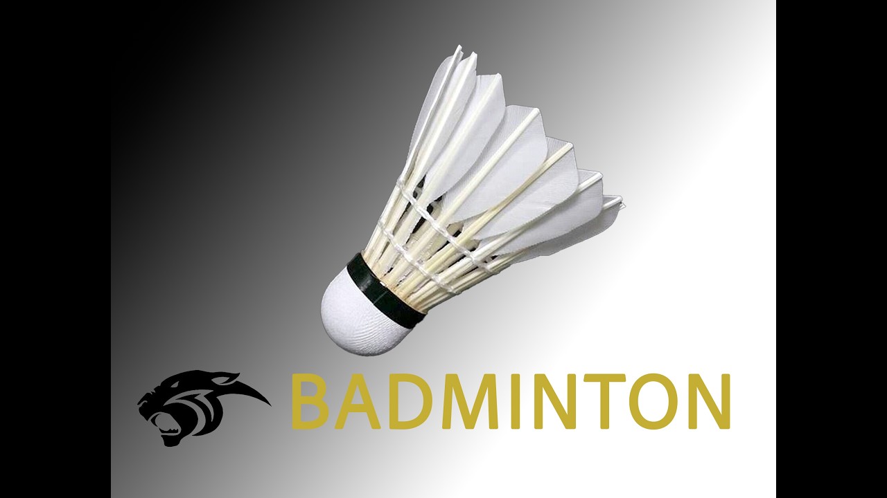 U11 Badminton 2026: ISB vs RIS (ES Gym B) - Mar 17