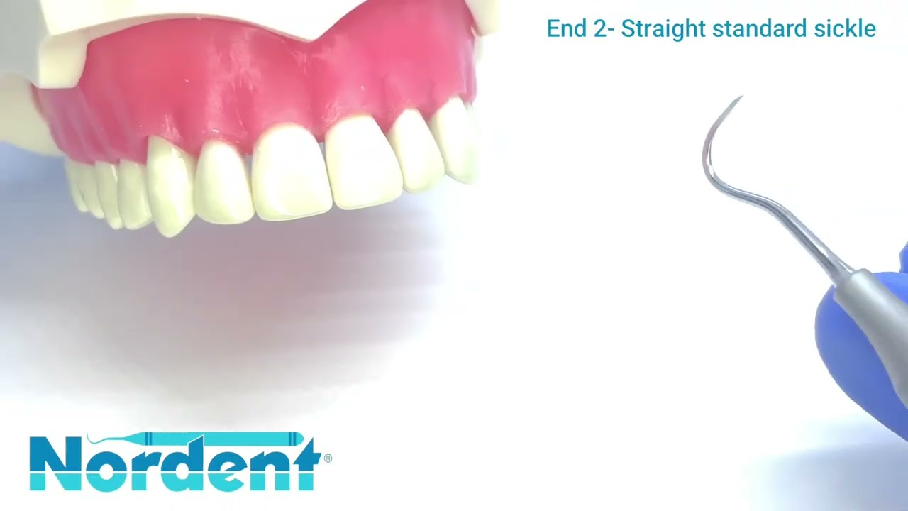Anterior Jacquette #1S Sickle N5 (SKU:RESCJ1S-N5)