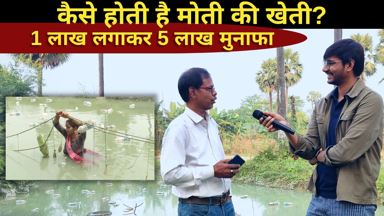 मोती की खेती कैसे करें? कम मेहनत में है लाखों की कमाई...
