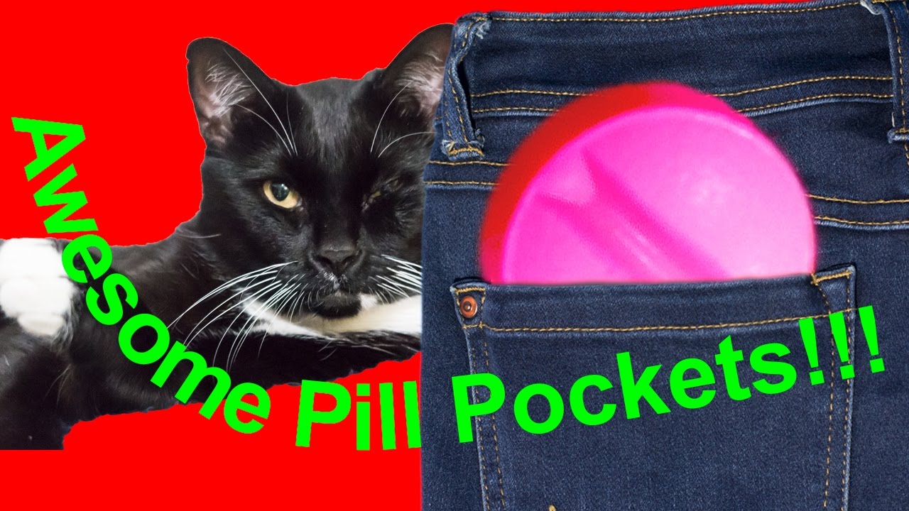 My Cat's Pill Pockets!
