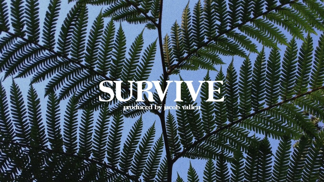 (FREE) Alec Benjamin x Lauv Type Beat - “Survive” | Chill Guitar Instrumental