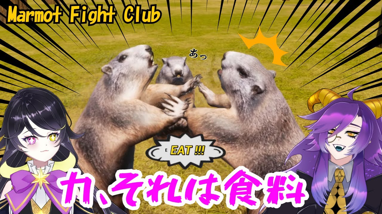 【シキュウ支部】魔法使い姉妹が白いパン（！？）争奪戦で全敗実況【Marmot Fight Club】