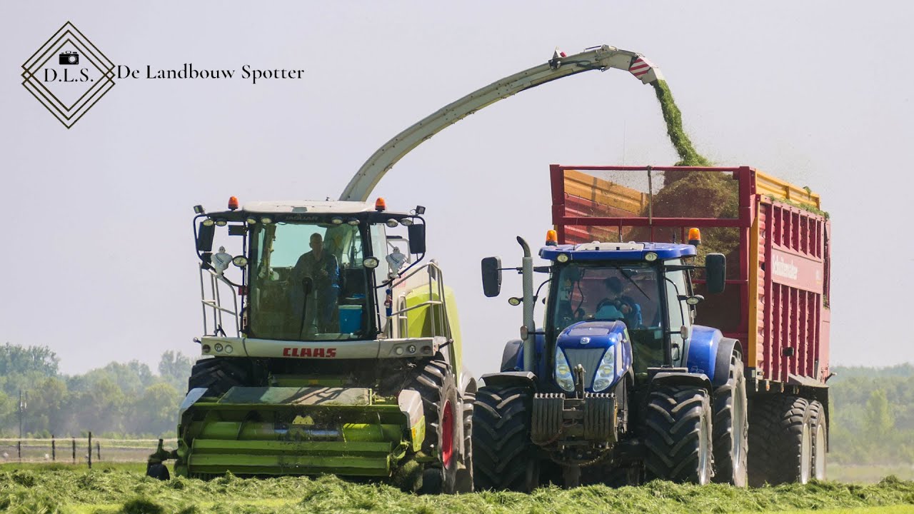 Grass Silage 2020 with two New Holland Blue Power T7.220 + Schuitemaker | Breure De Waard | Dronten