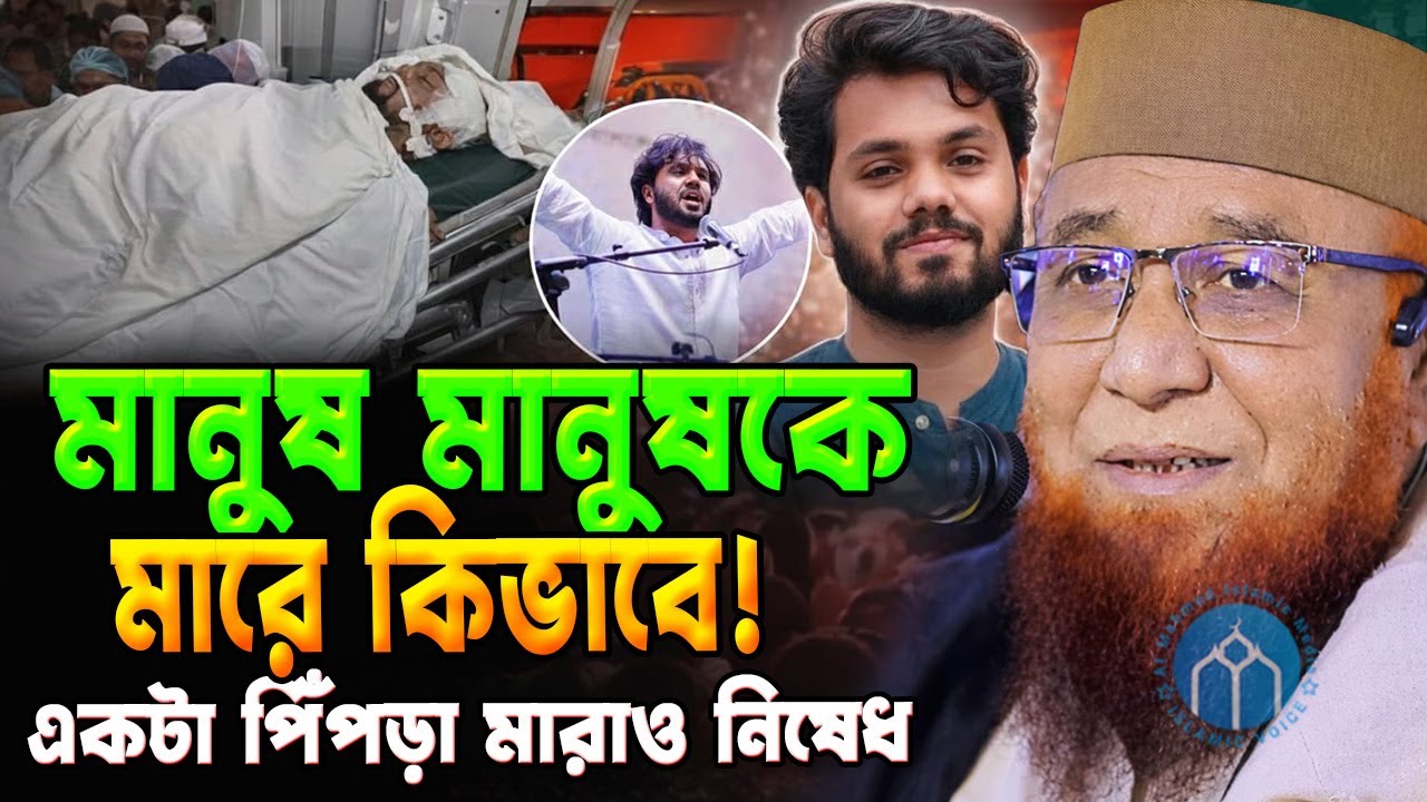 একটি পিঁপড়া মা*রাও নিষেধ?// আল্লামা নজরুল ইসলাম কাসেমী //mufti nojrul islam kasemi