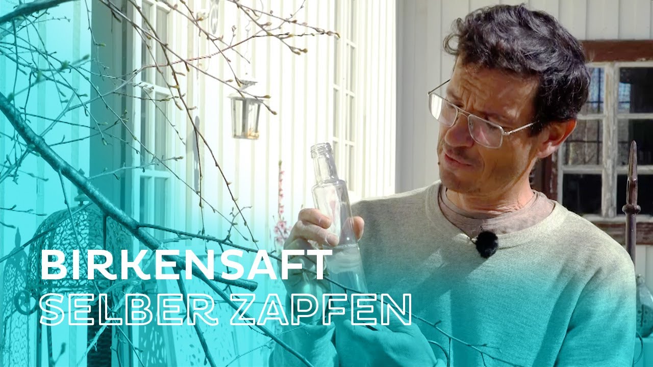 Birkensaft zapfen & Bärlauchsuppe - Naturgarten-Profi Markus Burkhard