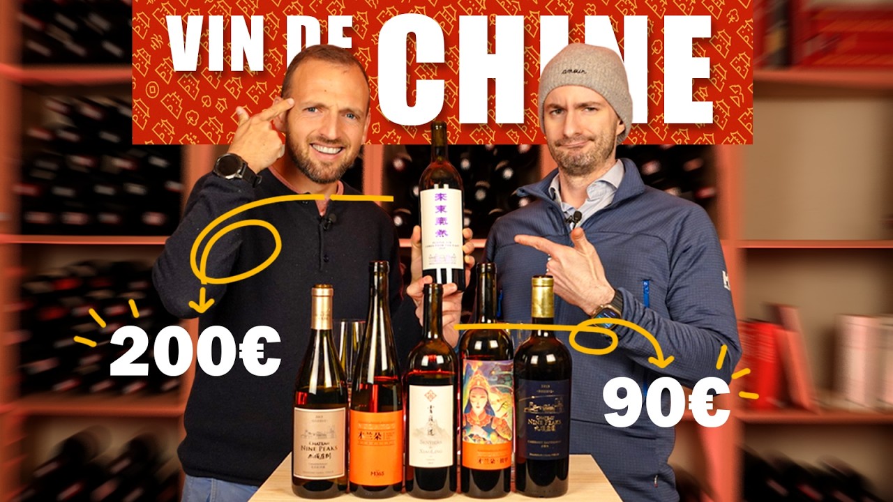 Vins 🇨🇳 Chinois 🇨🇳 ! Nous sommes victimes de notre curiosité 🤣🤣🤣
