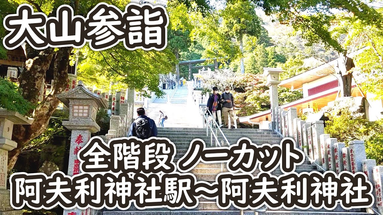 【阿夫利神社】大山ケーブル 阿夫利神社駅～阿夫利神社下社 全階段ノーカット 段差チェックにどうぞ【丹沢 大山こま参道】