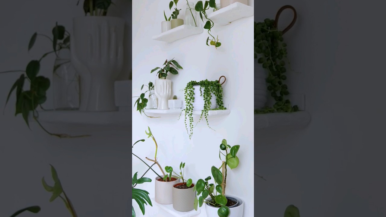DIY Wanddeko mit Pflanzen 