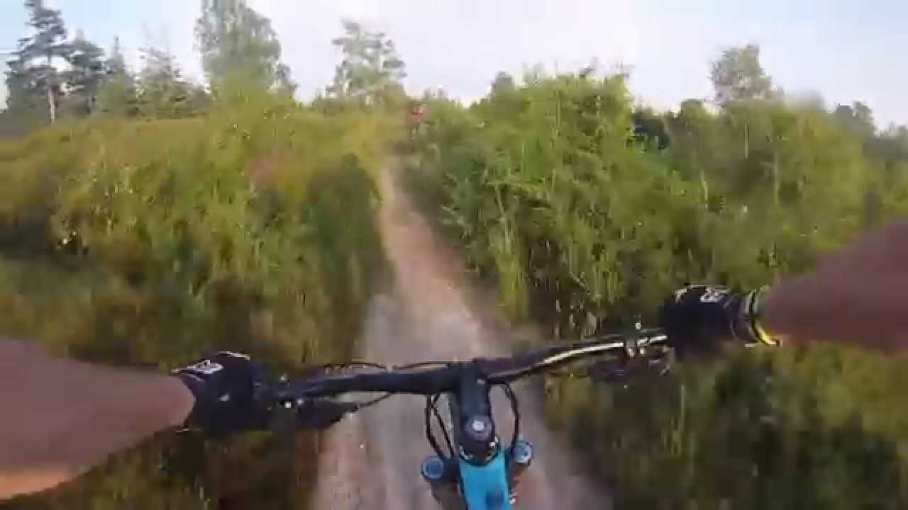 Puddletown Forest MTB