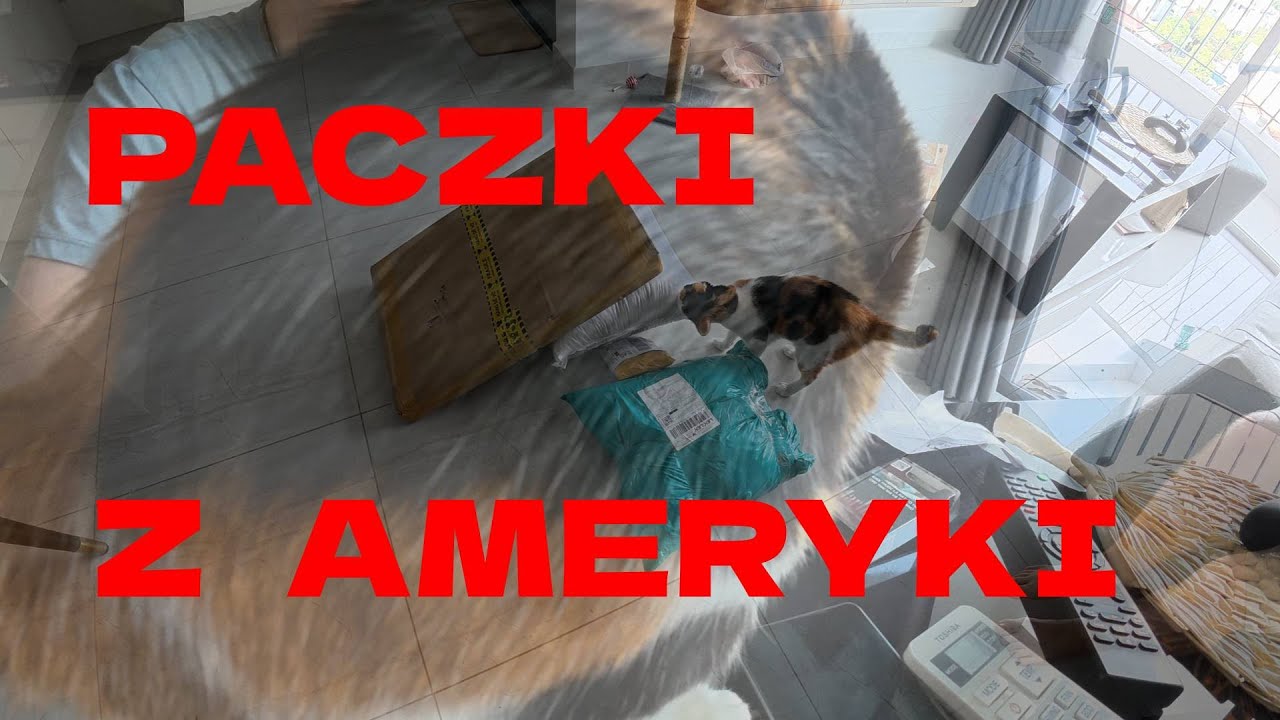 Inwestuję w dzieła sztuki.