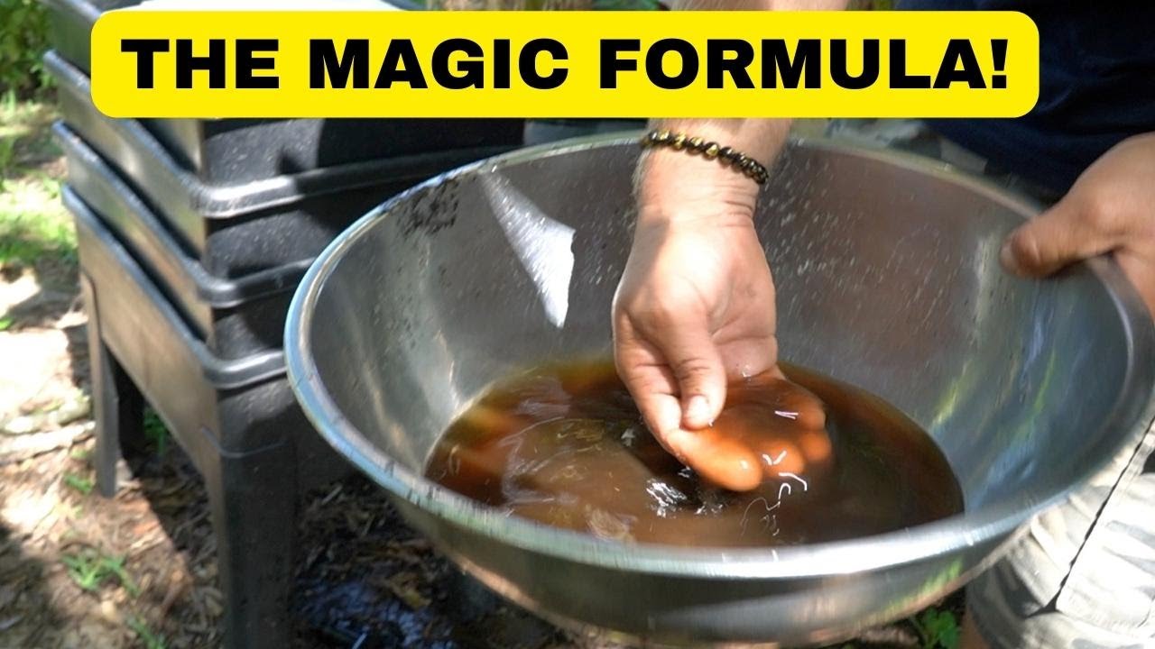 Worm Juice Magic Formula!