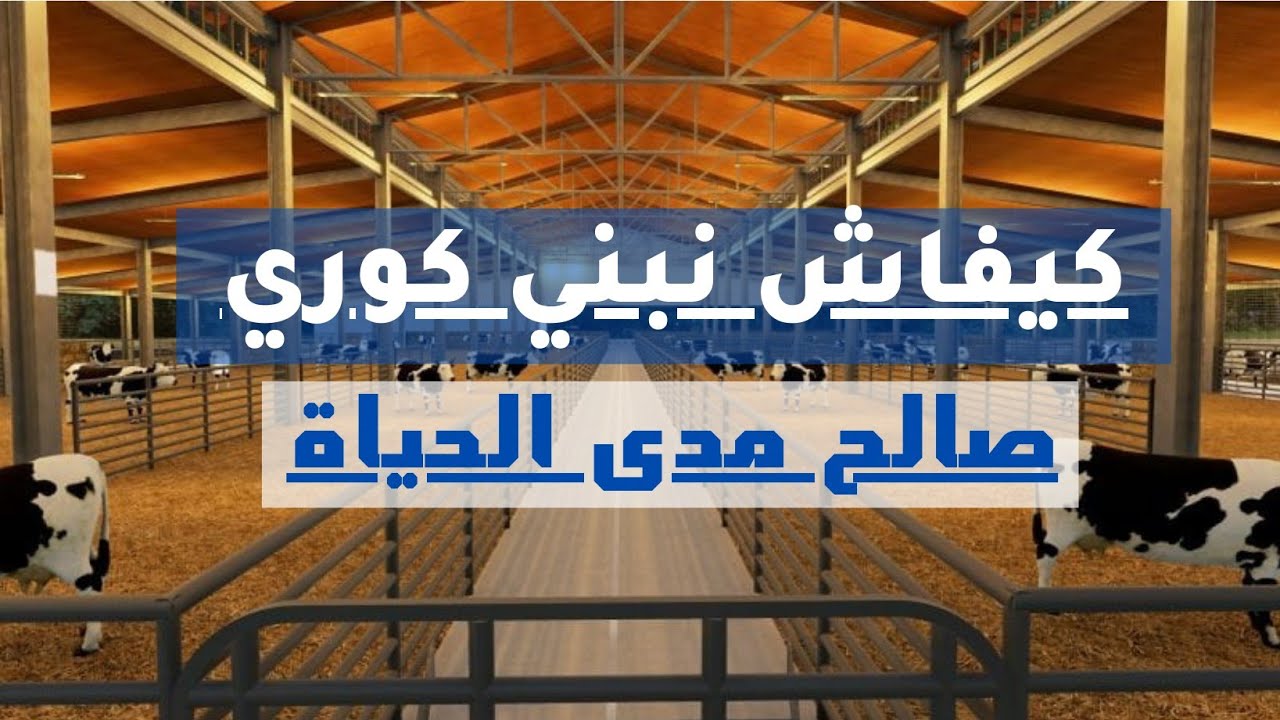 إسطبلات الأبقار || كيفاش نبني كوري ديال الابقار صالح مدى الحياة