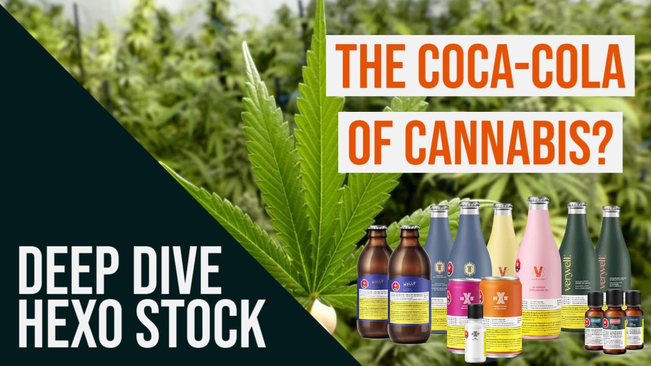 BEST POT BEVERAGE PLAY - HEXO Stock Analysis (Deep Dive)