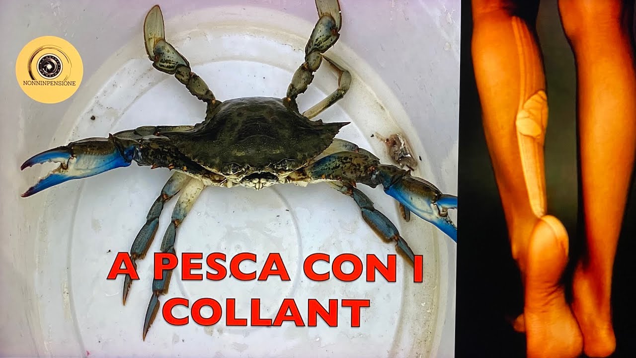 Pesco il Granchio Blu con i collant