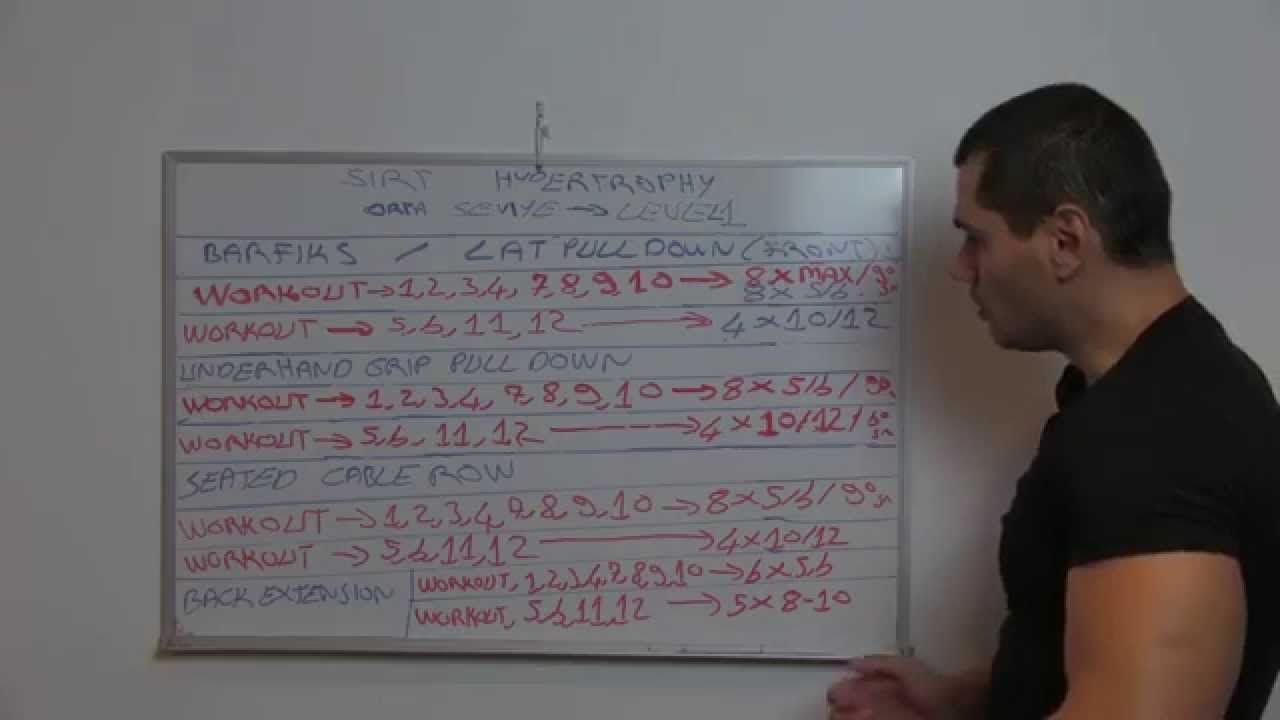 SIRT Buyutme Programi