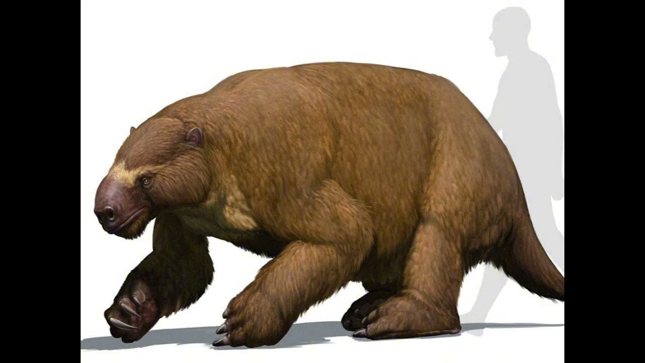 Mylodon sounds