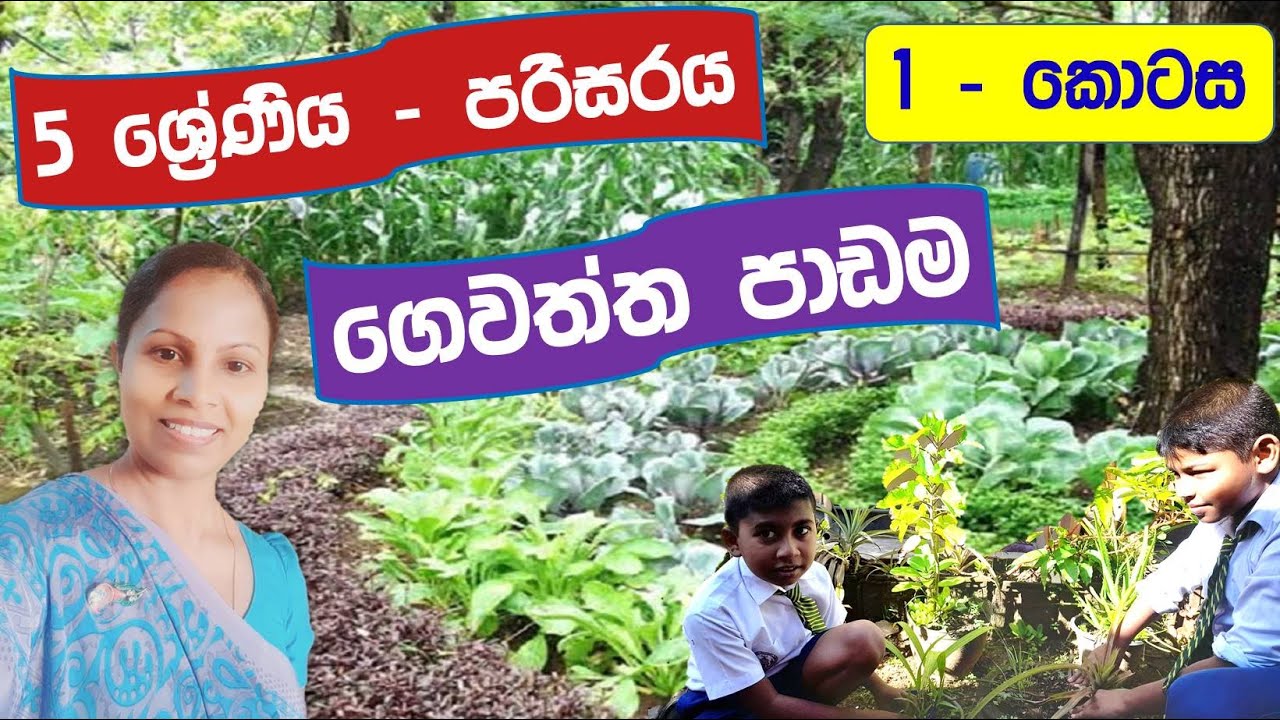 5 ශ්‍රේණිය පරිසරය - ගෙවත්ත පාඩම | 1 - කොටස