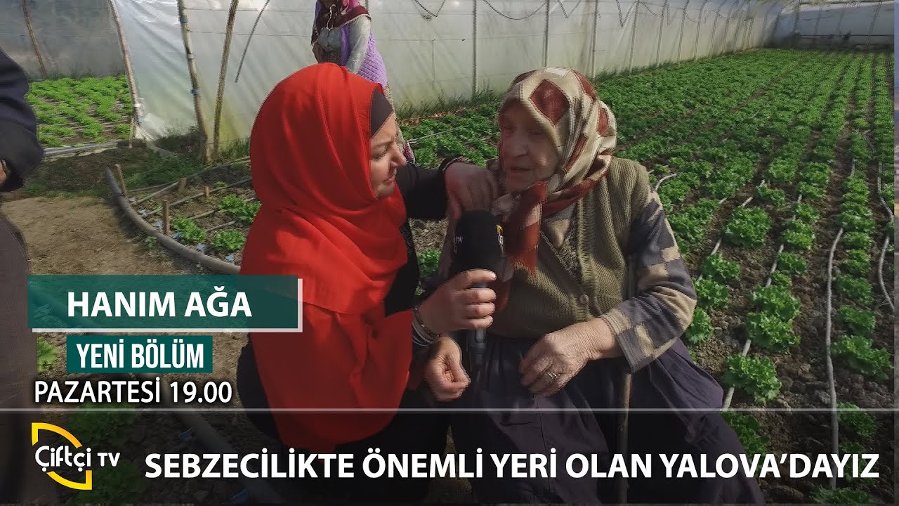 Yalova'nın Tarımsal Zenginlikleri - HANIM AĞA #tarım #çiftçi #hasat