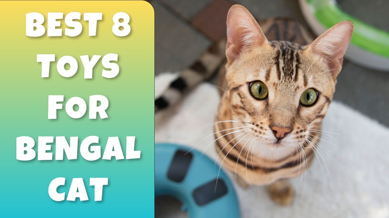 Best 8 Toys Your Bengal Cat Will Love!