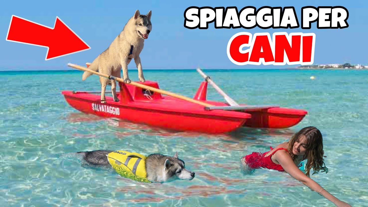 PRIMA VOLTA al MARE per il mio CUCCIOLO in una SPIAGGIA per CANI 🥹🐶❤️-BAU TOUR #4| MARTY E YUKO