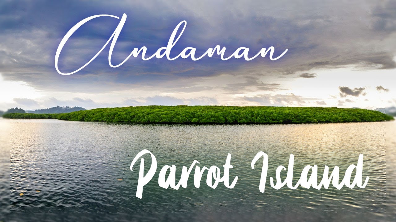 PARROT ISLAND - the hidden beauty