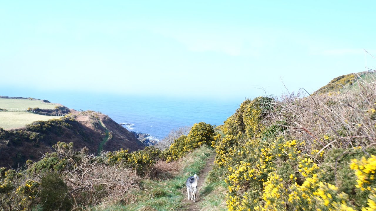 Cliff path at Glen Maye, Isle Of Man, Ray Kelly