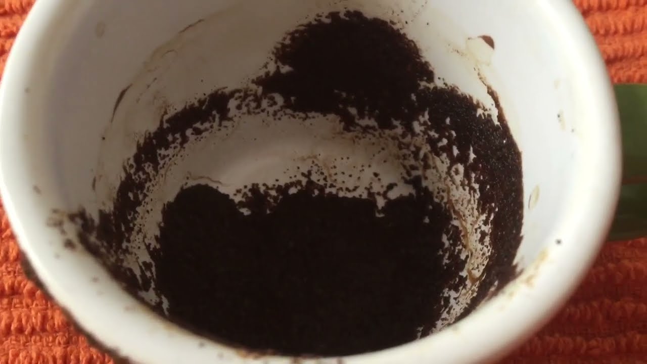 Leo February 7, 2022 Weekly Coffee Cup Reading by Cognitive Universe