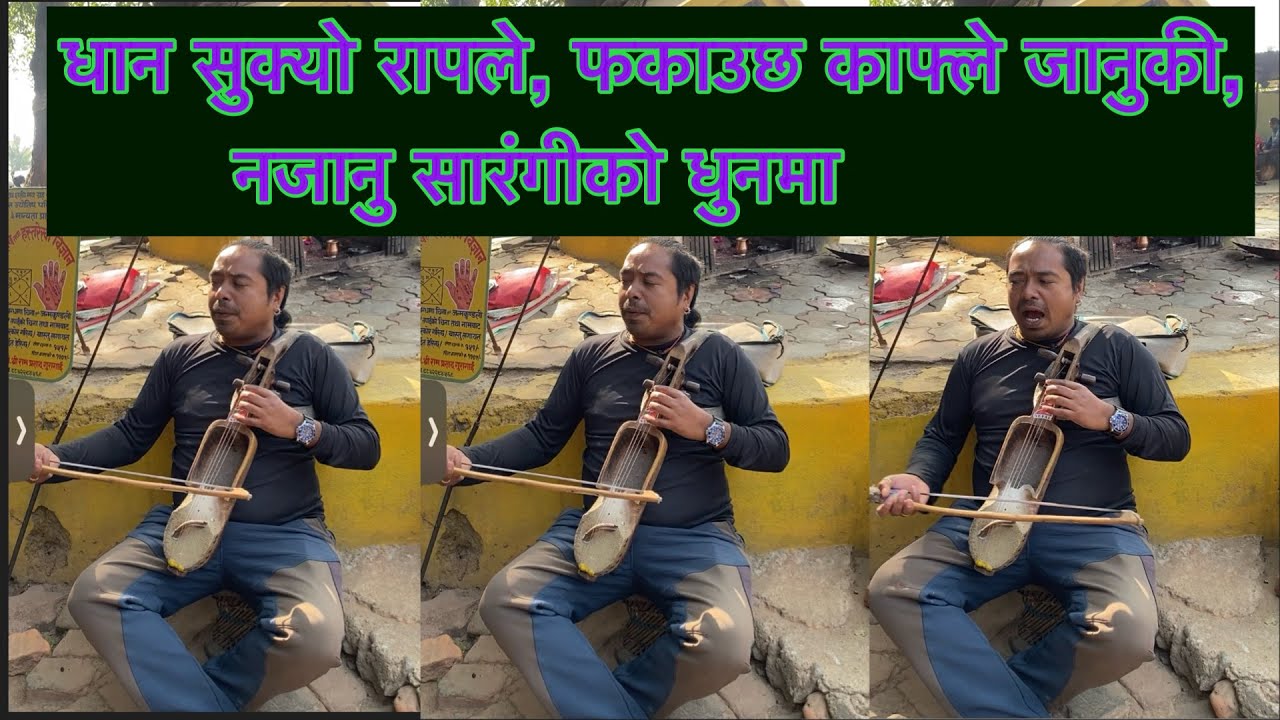 धान सुक्यो रापले, फकाउछ काफ्ले जानुकी नजानु सारंगीको धुनमा  रेलिमाई  #belbarisuja 