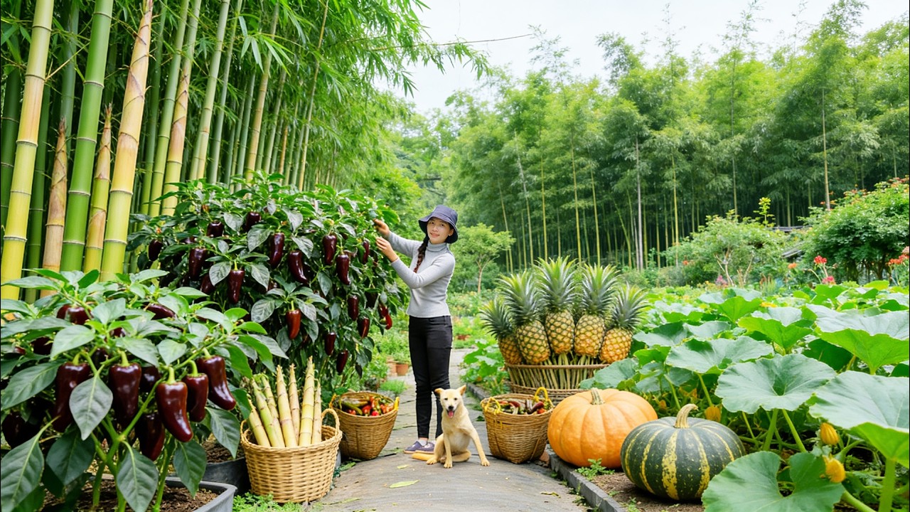 Harvest, Sell, And Cook With: Chocolate Peppers, Bamboo Shoots, Pineapple, Pumpkin - Farm Life