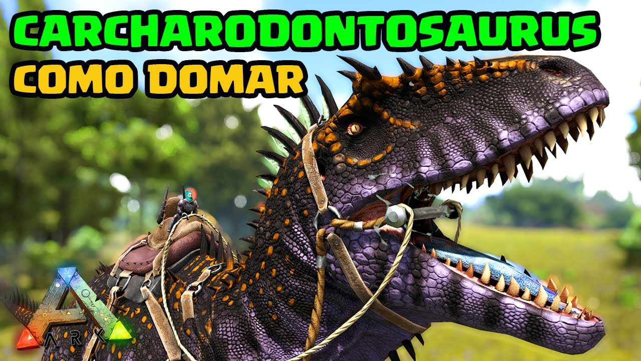COMO DOMAR O CARCHARODONTOSAURUS - ARK: SURVIVAL EVOLVED