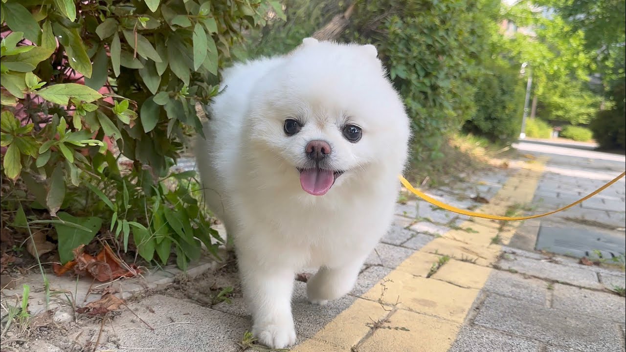여러분도 스트레스 받으면 뚜비처럼 해보세요