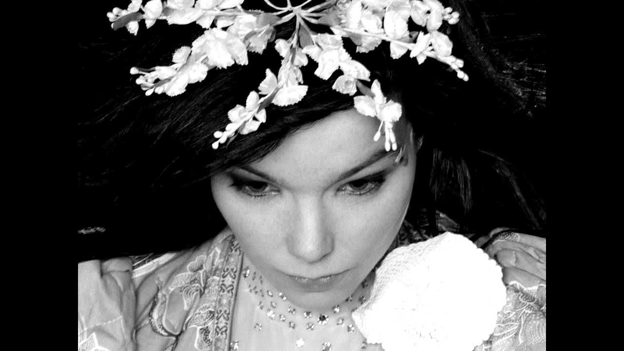 HD: björk - joga (basswave remix)