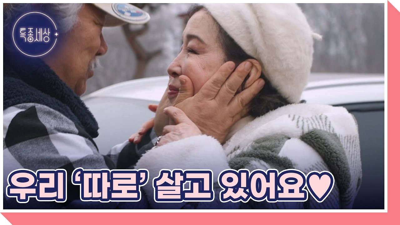 18년째 따로 사는 중?! 김애경 부부가 각집살이하는 이유는? MBN 260226 방송