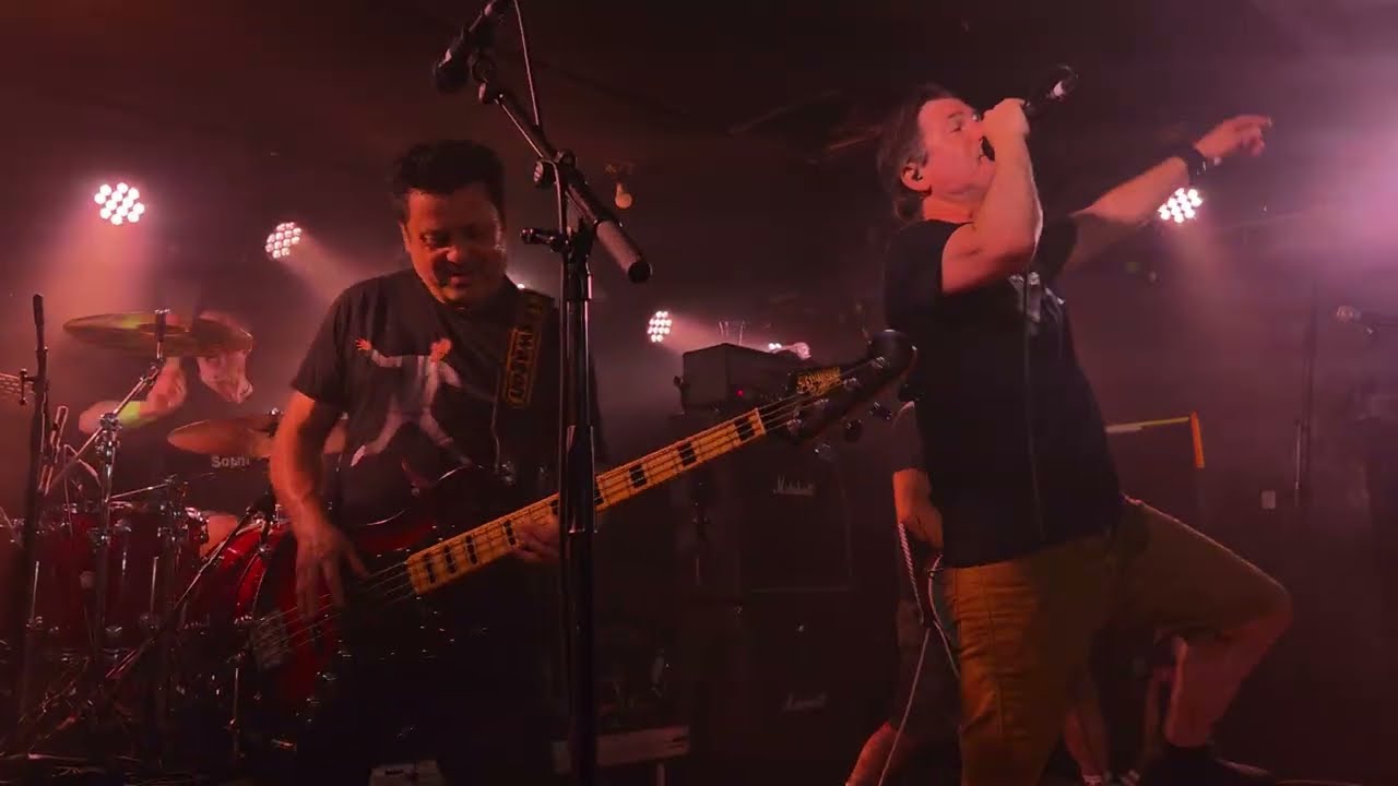 Lagwagon - Know It All - Live at San Fran Wellington NZ - 9/2/2026