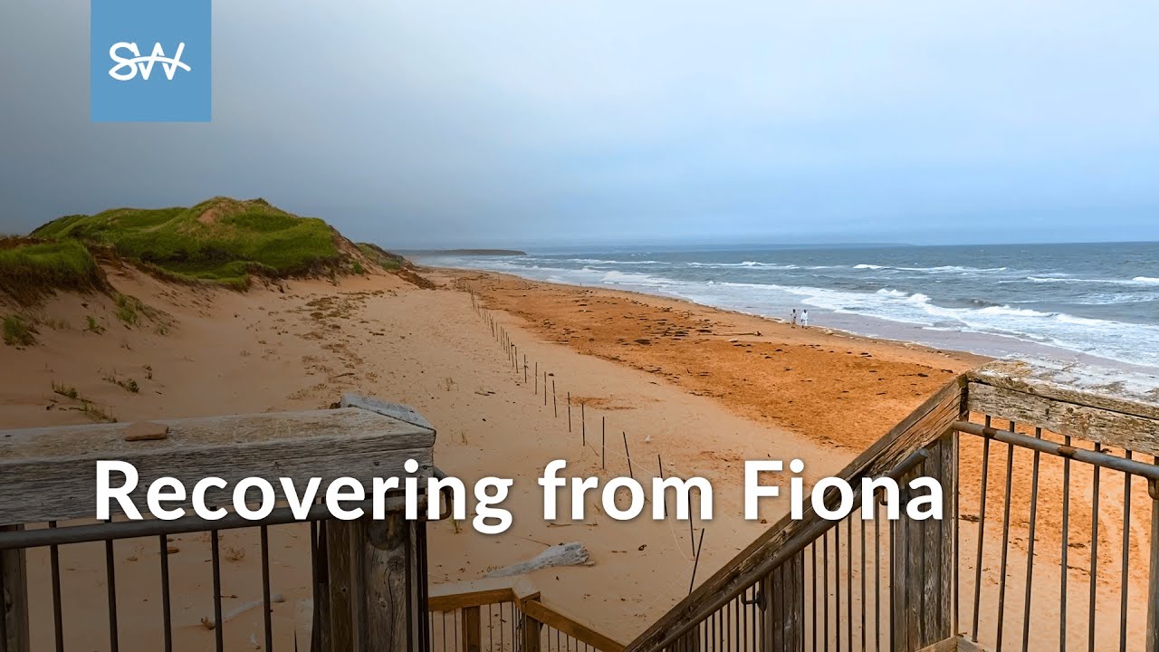 P.E.I.'s dunes a year after Fiona | SaltWire