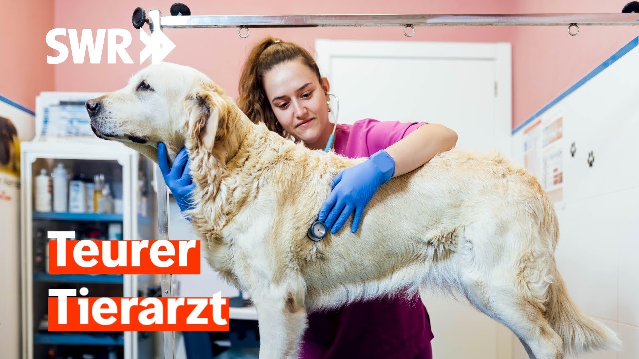 Rechnung vom Tierarzt – kann man sich bald kein Haustier mehr leisten? | Zur Sache! Rheinland-Pfalz
