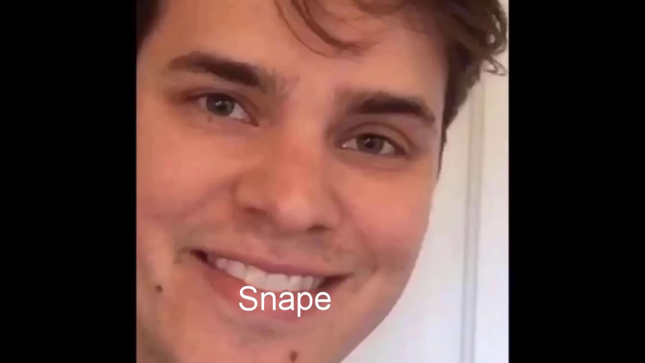 HARRY AND FRIENDS AS VINES
