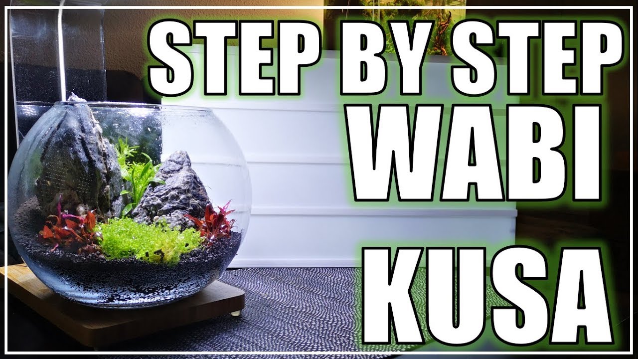 AQUASCAPING: STEP BY STEP WABI KUSA