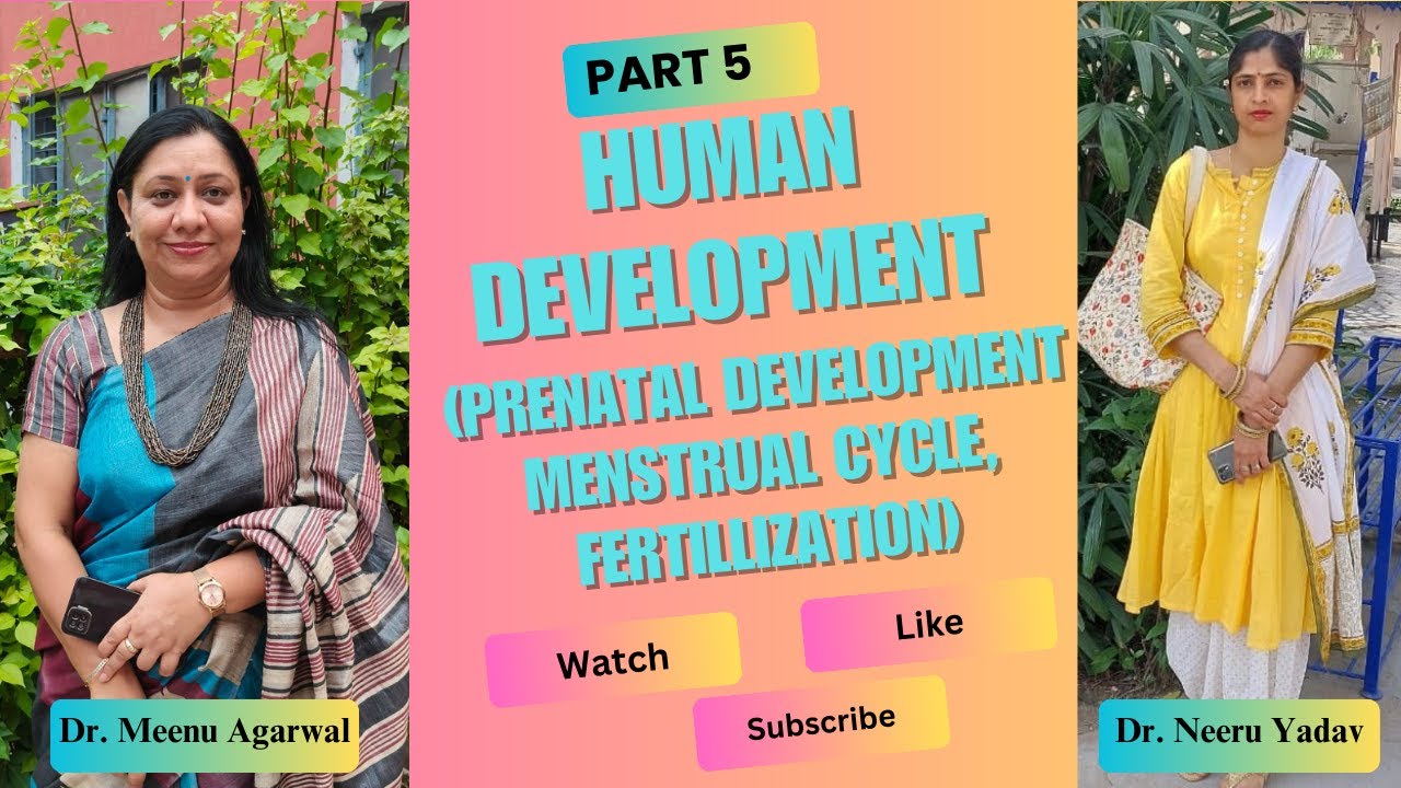 #prenataldevelopment