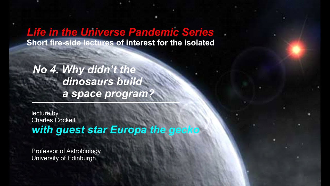 Why didn't the dinosaurs build a space program?