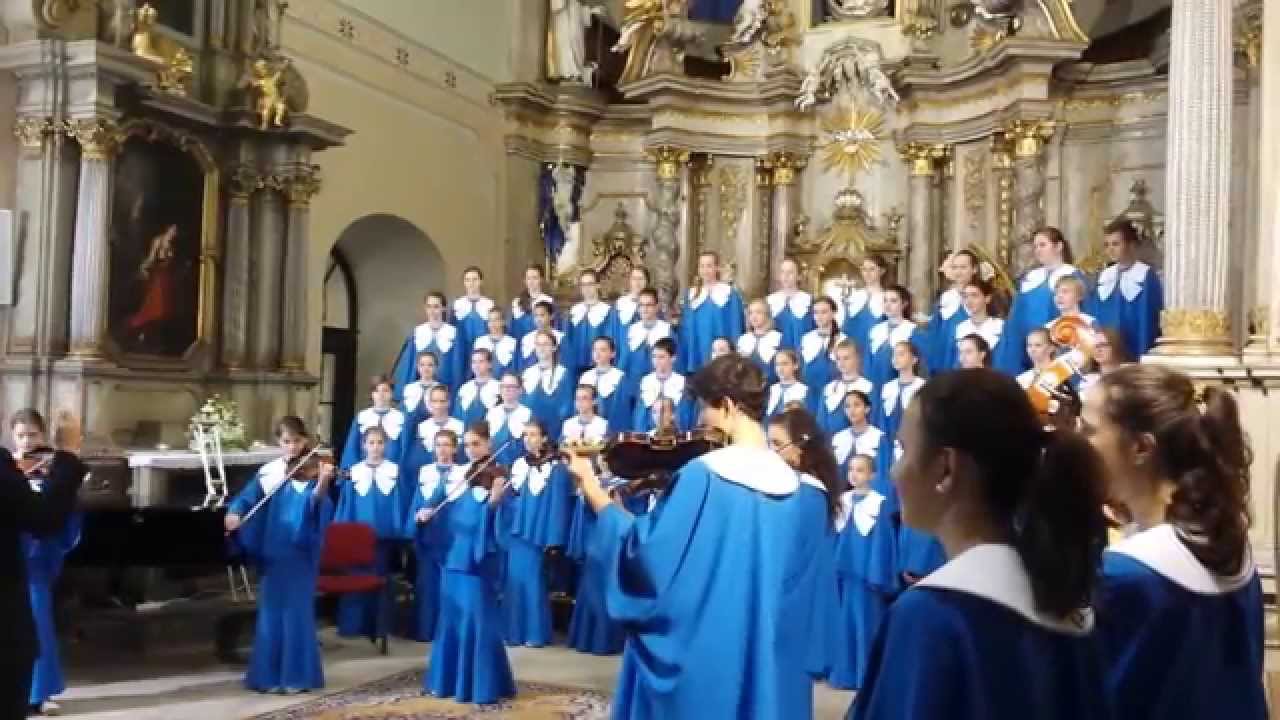 Motýli Šumperk - Stojí hruška