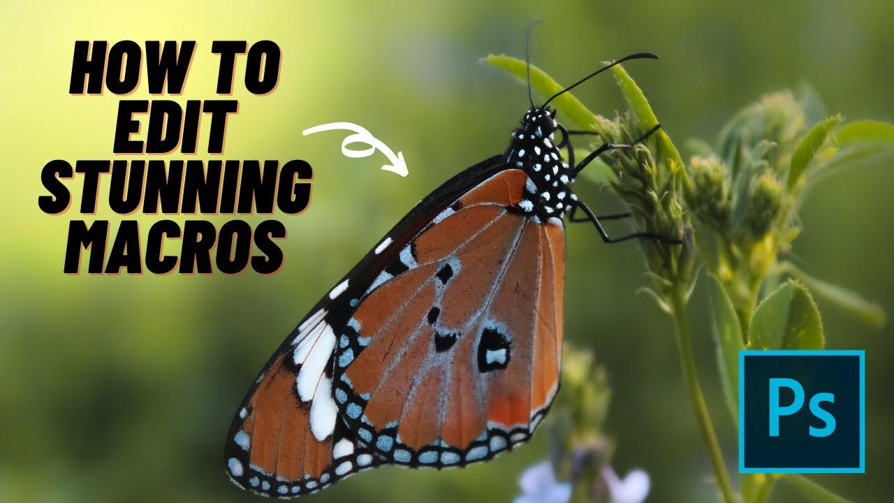 Edit Macro Photos in Photoshop | Soft Color tones & Fix Camera Shake | Macro & Insect Photography
