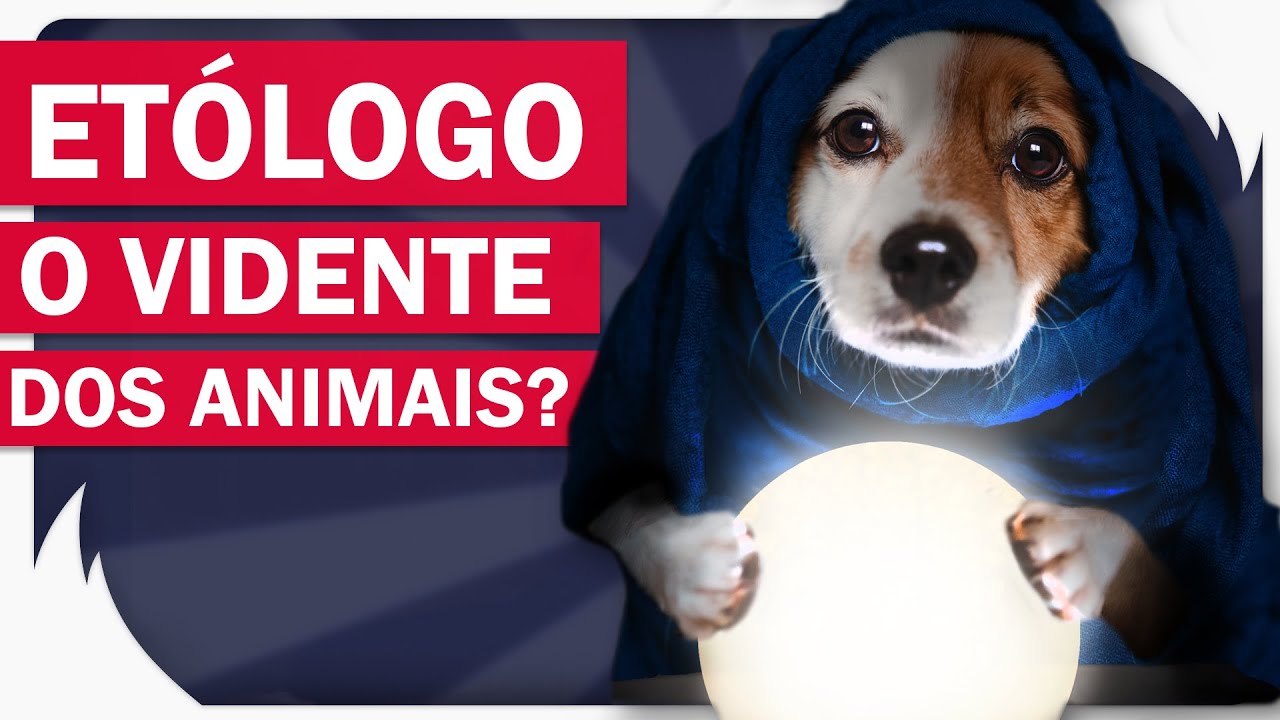 ETOLOGIA? CONHE&Ccedil;A O ESPECIALISTA EM COMPORTAMENTO ANIMAL 🐶 🐱