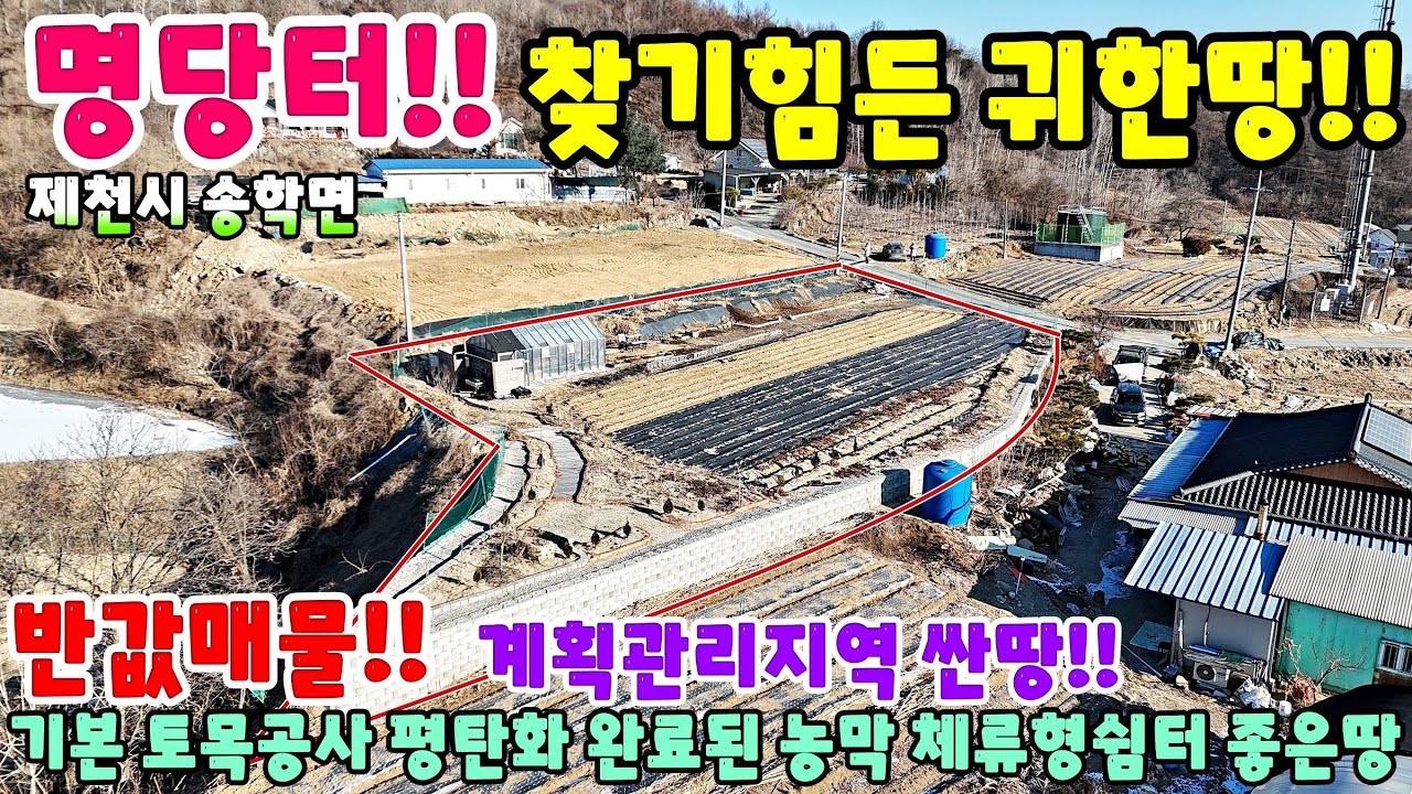 980. 반값매물!! 찾기힘든 명당터 싼땅 제천시 송학면 주택매매 단독주택매매 제천부동산 제천토지매매 제천전원주택매매 제천주택매매 시골집급매 촌집매매