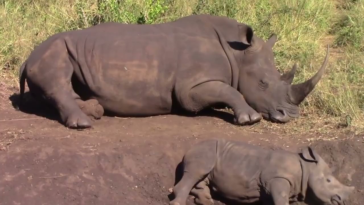SouthAfrica20182026