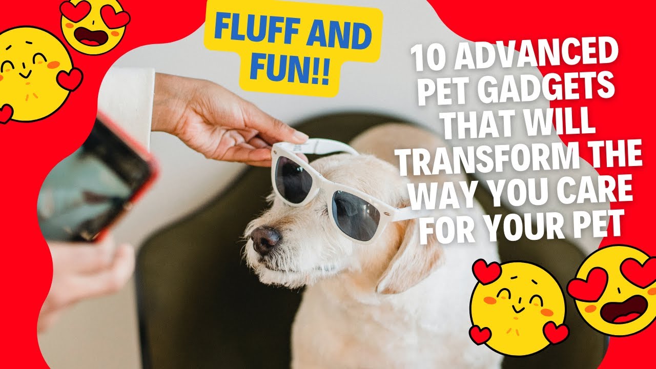 10 Advanced Pet Gadgets That Will Transform the Way You Care for Your Pet